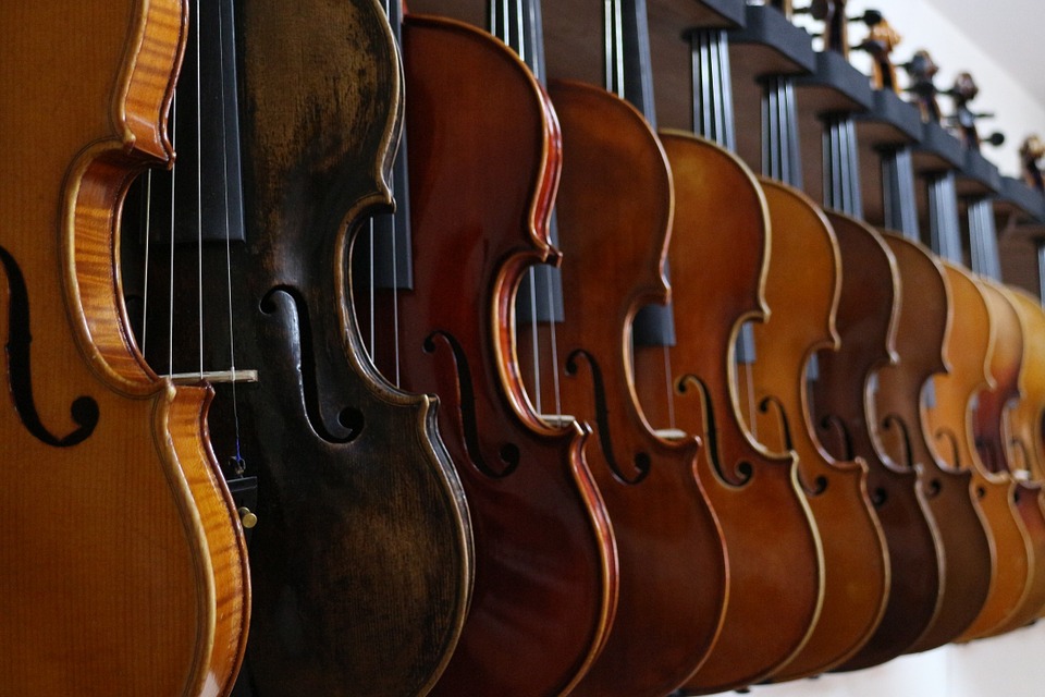 Photo of violins
